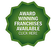 Junk Franchise
