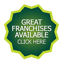Junk Franchise